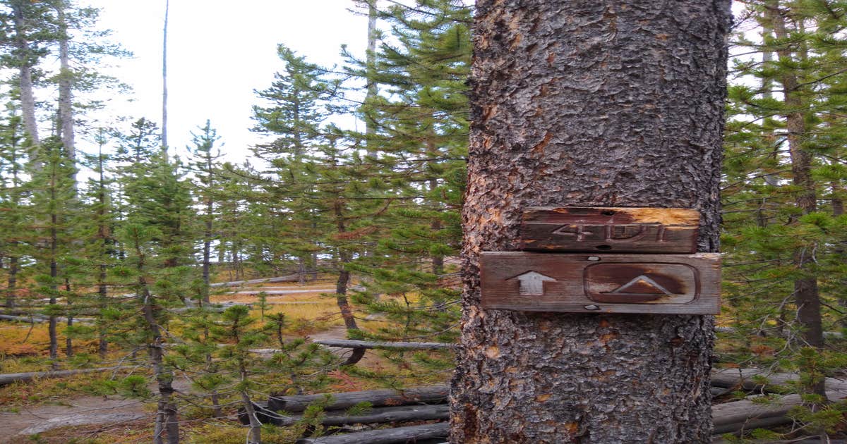 4D1- Ice Lake North - Yellowstone NP Back Country campsite — Yellowstone National Park