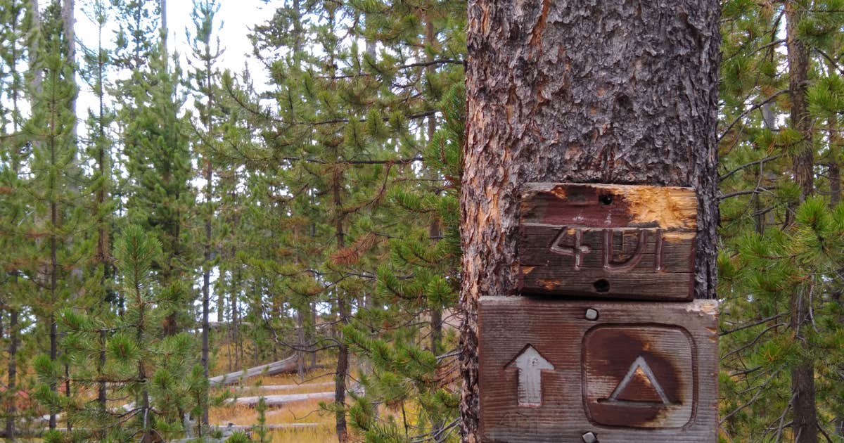 4D1- Ice Lake North - Yellowstone NP Back Country campsite — Yellowstone National Park