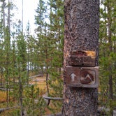 Review photo of 4D1- Ice Lake North - Yellowstone NP Back Country campsite — Yellowstone National Park by Dexter I., October 3, 2021