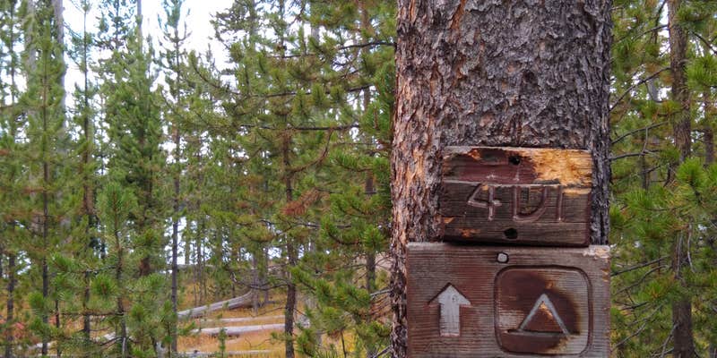 Camper submitted image from 4D1- Ice Lake North - Yellowstone NP Back Country campsite — Yellowstone National Park