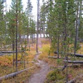 Review photo of 4D1- Ice Lake North - Yellowstone NP Back Country campsite by Dexter I., October 3, 2021