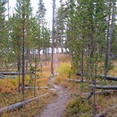 Review photo of 4D1- Ice Lake North - Yellowstone NP Back Country campsite — Yellowstone National Park by Dexter I., October 3, 2021