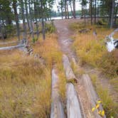 Review photo of 4D1- Ice Lake North - Yellowstone NP Back Country campsite by Dexter I., October 3, 2021