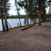 Review photo of 4D1- Ice Lake North - Yellowstone NP Back Country campsite by Dexter I., October 3, 2021