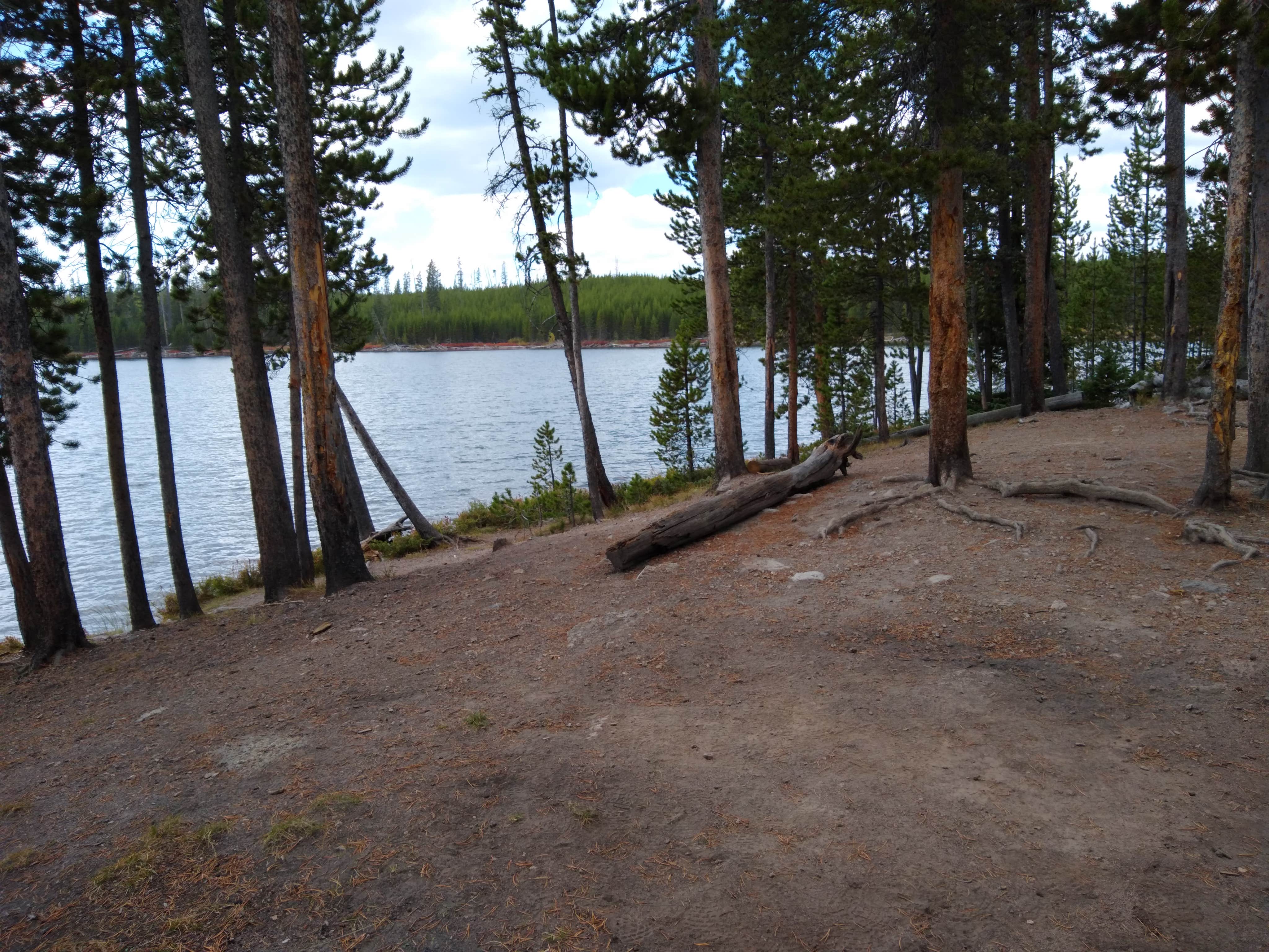 Camper submitted image from 4D1- Ice Lake North - Yellowstone NP Back Country campsite - 5