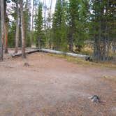 Review photo of 4D1- Ice Lake North - Yellowstone NP Back Country campsite by Dexter I., October 3, 2021