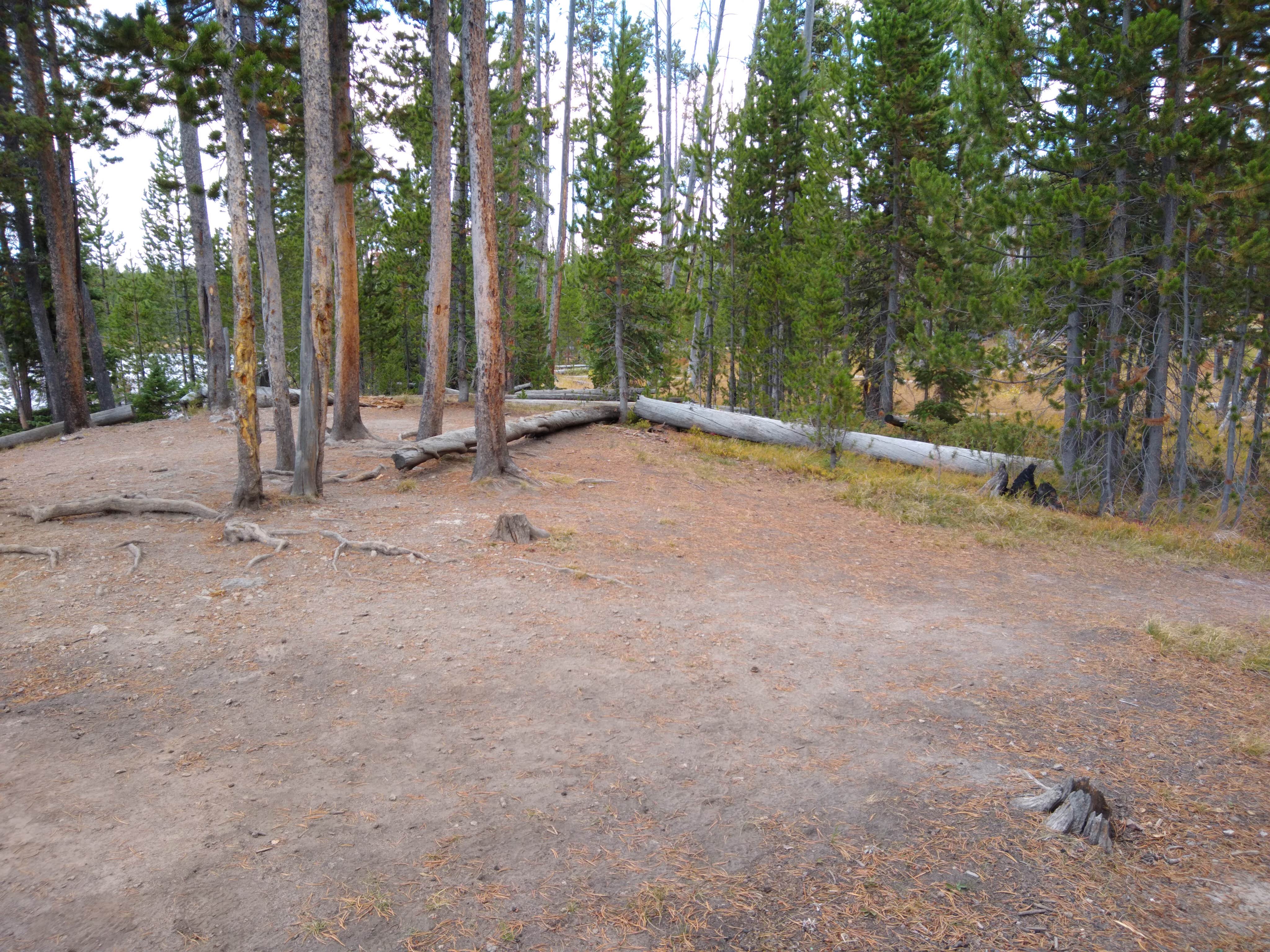 Camper submitted image from 4D1- Ice Lake North - Yellowstone NP Back Country campsite - 4