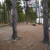 Review photo of 4D1- Ice Lake North - Yellowstone NP Back Country campsite by Dexter I., October 3, 2021