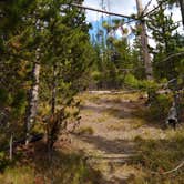 Review photo of 4D1- Ice Lake North - Yellowstone NP Back Country campsite by Dexter I., October 3, 2021