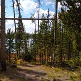 Review photo of 4D1- Ice Lake North - Yellowstone NP Back Country campsite by Dexter I., October 3, 2021