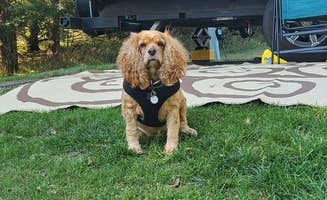 Ashley L.'s photo of camping with pets at Modern Campground — Niobrara State Park near Lake Andes, SD