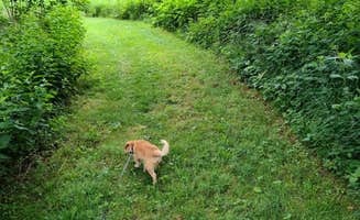 Ashley L.'s photo of camping with pets at Arrowhead Park Campground near Omaha, NE