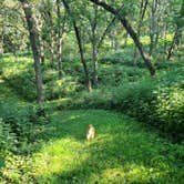 Review photo of Arrowhead Park Campground by Ashley L., October 3, 2021