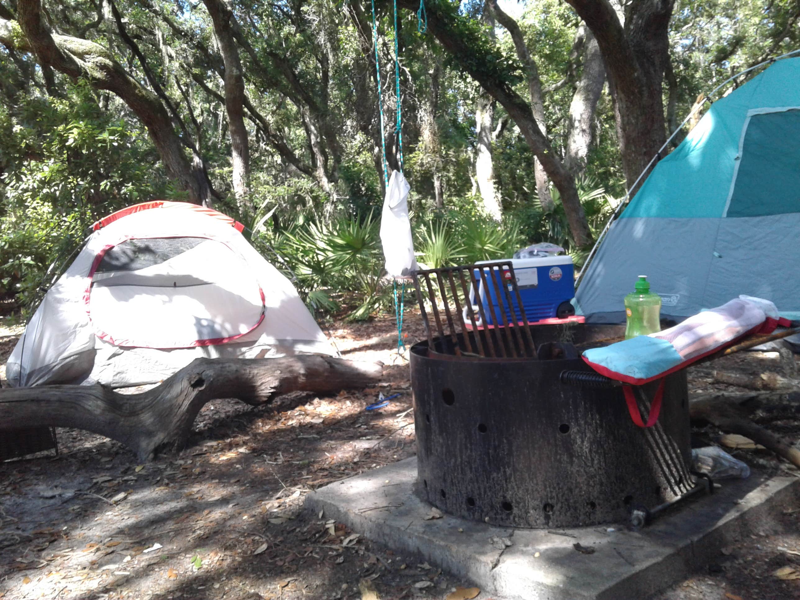 Christy P.'s photo of tent camping at Stafford Beach Campground — Cumberland Island National Seashore near Ponte Vedra, FL