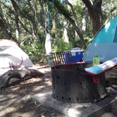Review photo of Stafford Beach Campground — Cumberland Island National Seashore by Christy P., October 3, 2021