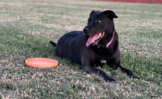 Thomas D.'s photo of camping with pets at Leander-NW Austin KOA near Austin, TX
