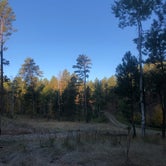 Review photo of RD 356 Dispersed Site Black Hills National Forest by Meg , October 3, 2021