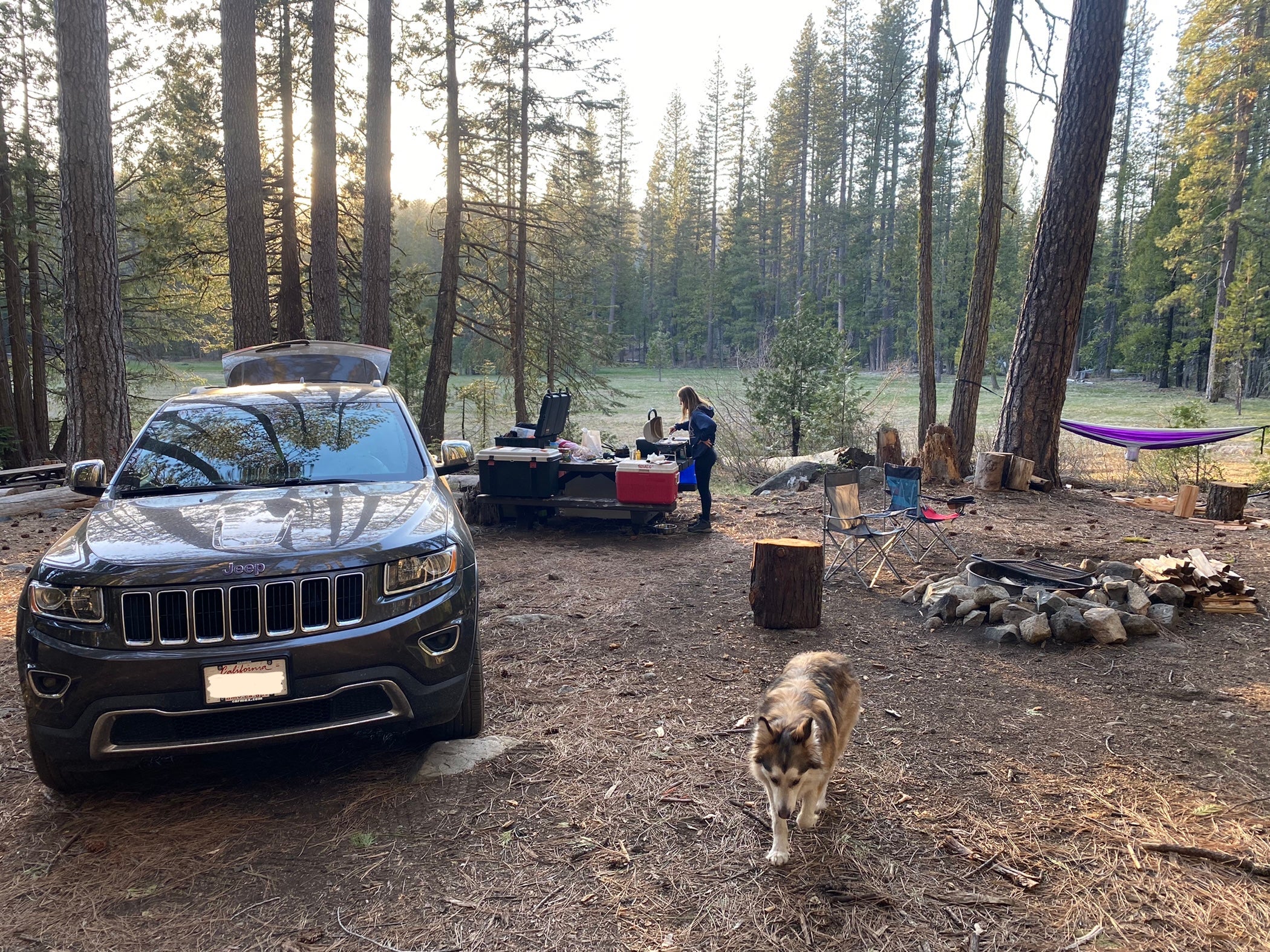 Camper submitted image from Tahoe National Forest Onion Valley Campground - 1