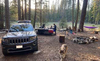Jordan R.'s photo of camping with pets at Tahoe National Forest Onion Valley Campground near Nevada City, CA