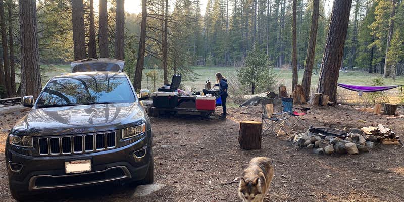 Camper submitted image from Tahoe National Forest Onion Valley Campground