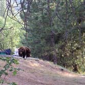 Review photo of Thousand Trails Yosemite Lakes by Breeze Y., October 3, 2021