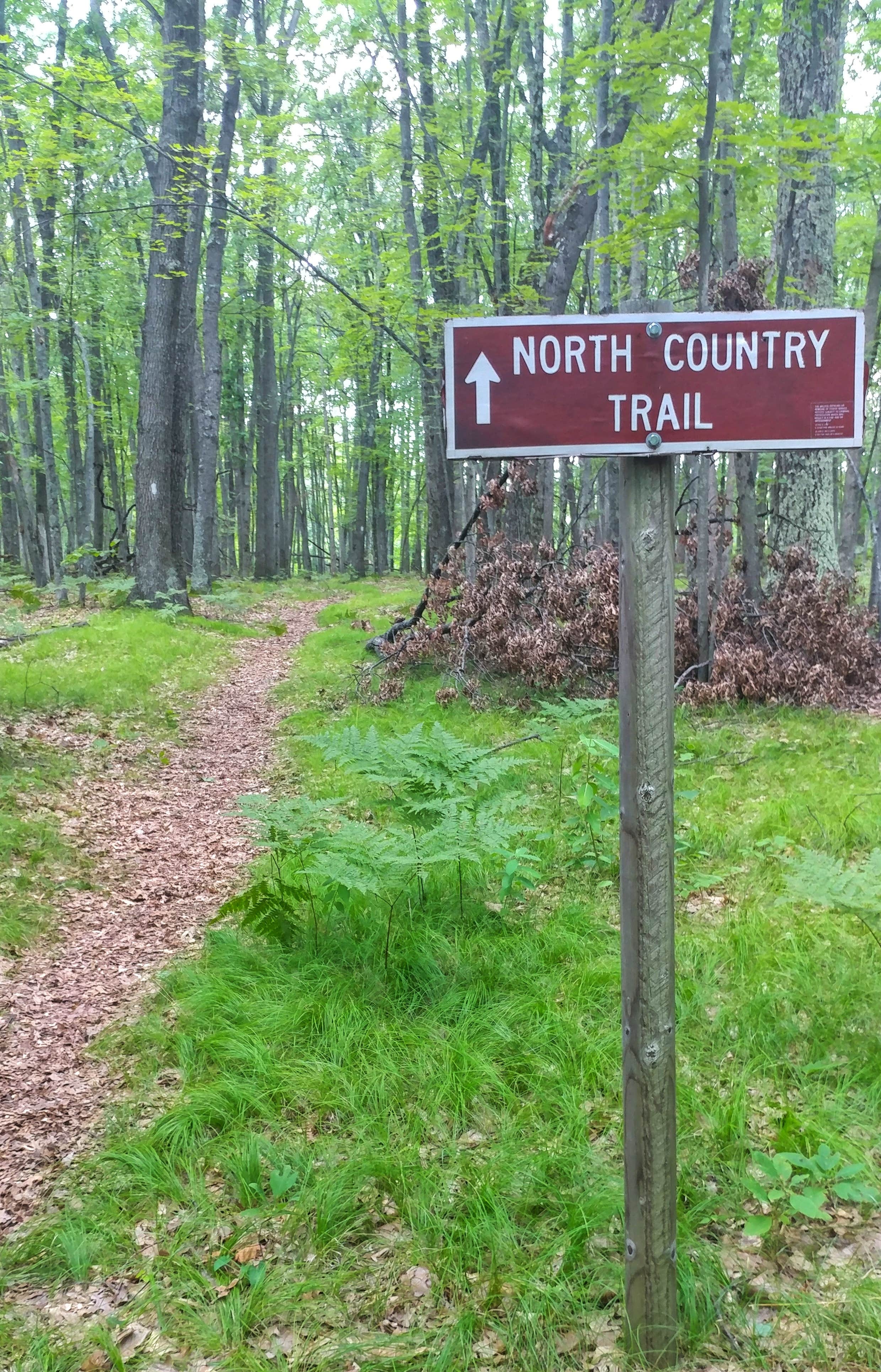 Camper submitted image from Highbank Lake Campground - 4