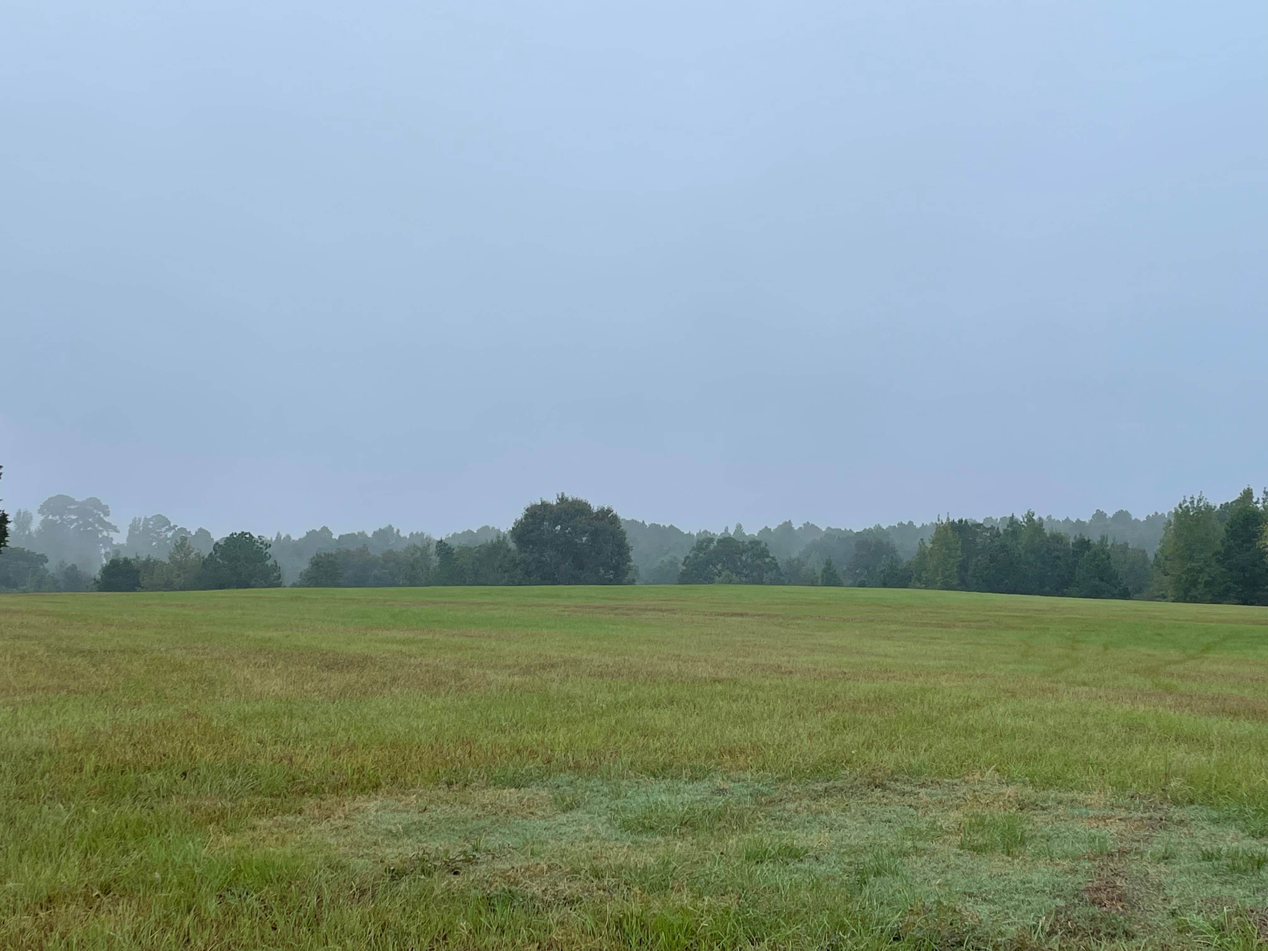 Camping near Lake Limestone Campground and Marina: Yellow Rose RV Park, Leona, Texas