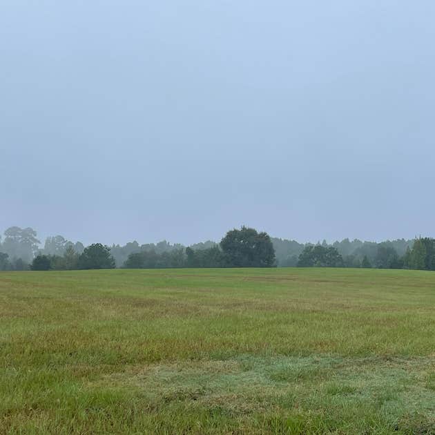 Yellow Rose RV Park Madisonville, TX