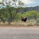 Review photo of South Prong Primitive Camping Area — Caprock Canyons State Park by Dan P., October 3, 2021