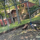 Review photo of Otter Lake Camp Resort by Erik M., October 3, 2021