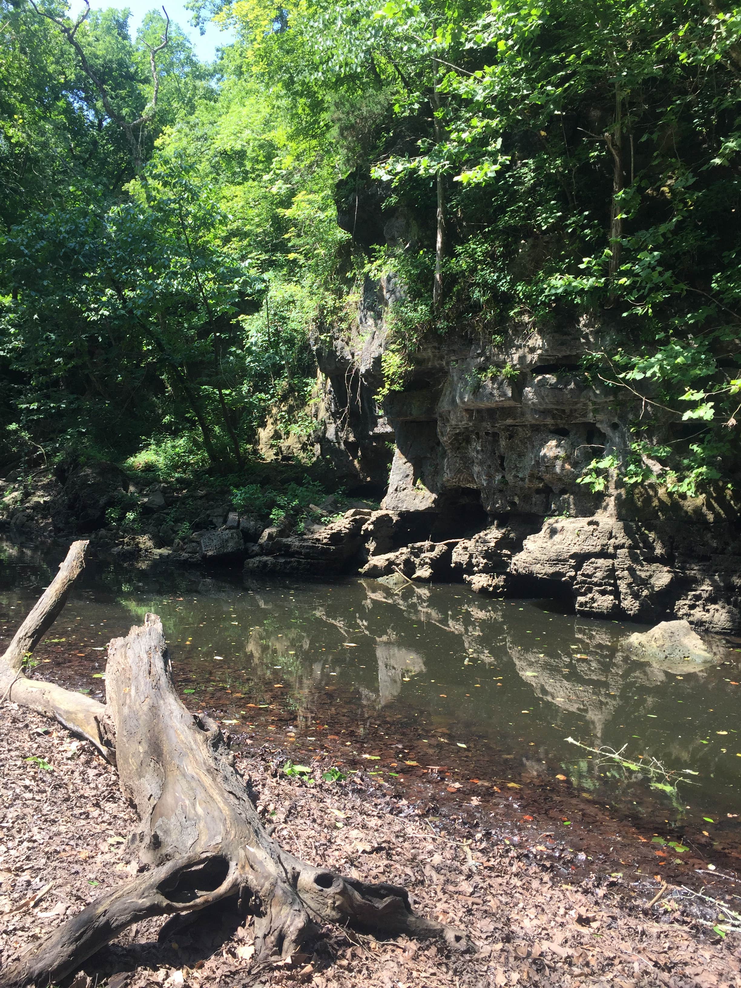 Camper-submitted photo at Irish Wilderness near Alton, MO