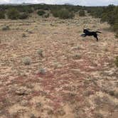 Review photo of Sante Fe National Forest BLM-Road 62 Dispersed by Ashley T., October 3, 2021