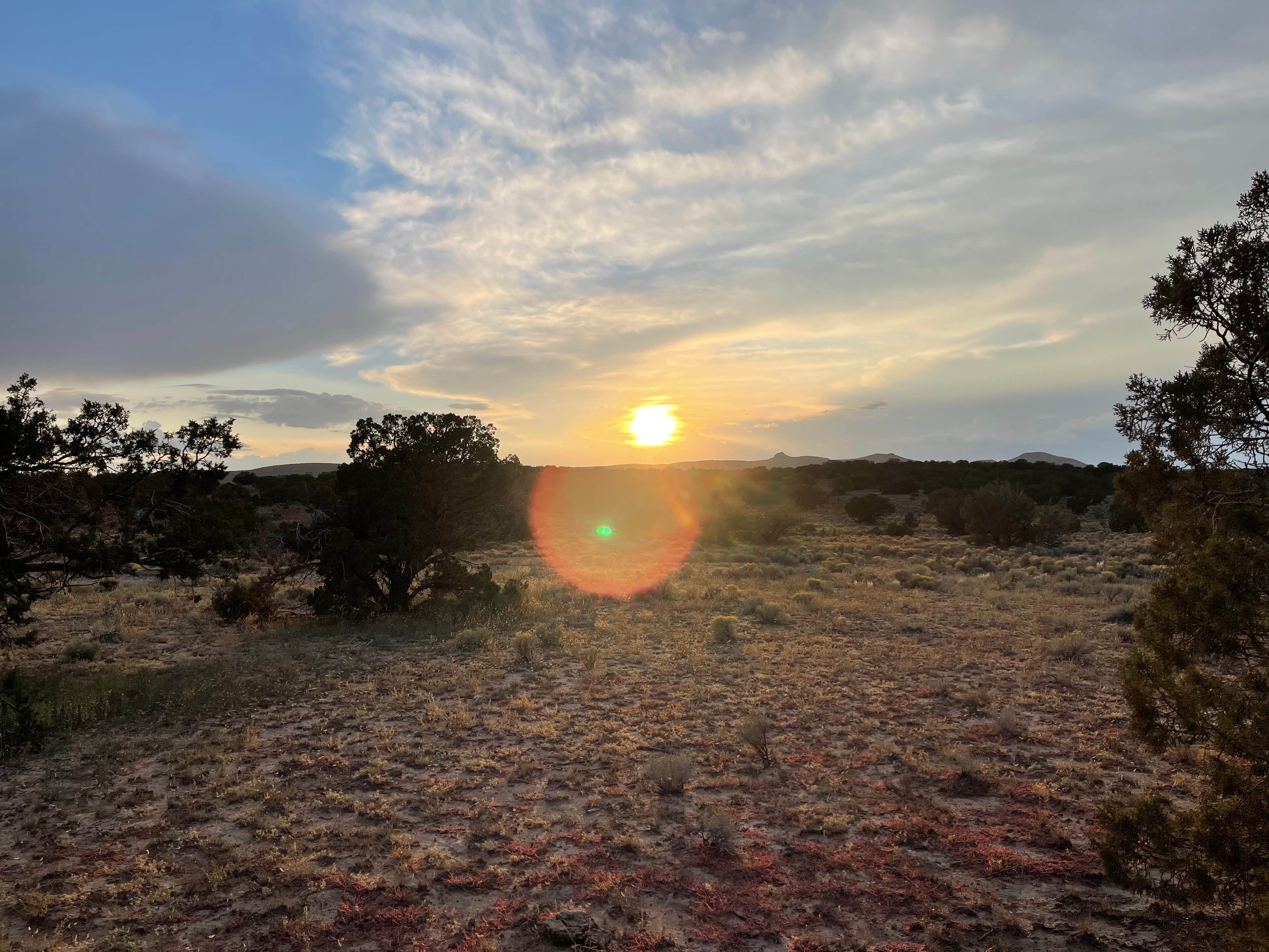 Ashley T.'s photo of a dispersed camping area at Sante Fe National Forest BLM-Road 62 Dispersed in New Mexico