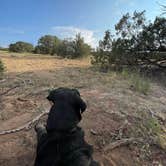 Review photo of Sante Fe National Forest BLM-Road 62 Dispersed by Ashley T., October 3, 2021