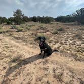 Review photo of Sante Fe National Forest BLM-Road 62 Dispersed by Ashley T., October 3, 2021