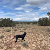 Review photo of Sante Fe National Forest BLM-Road 62 Dispersed by Ashley T., October 3, 2021