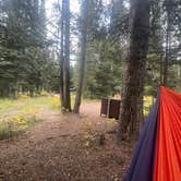 Review photo of Jenny Lake Campground — Grand Teton National Park by Charles W., October 3, 2021