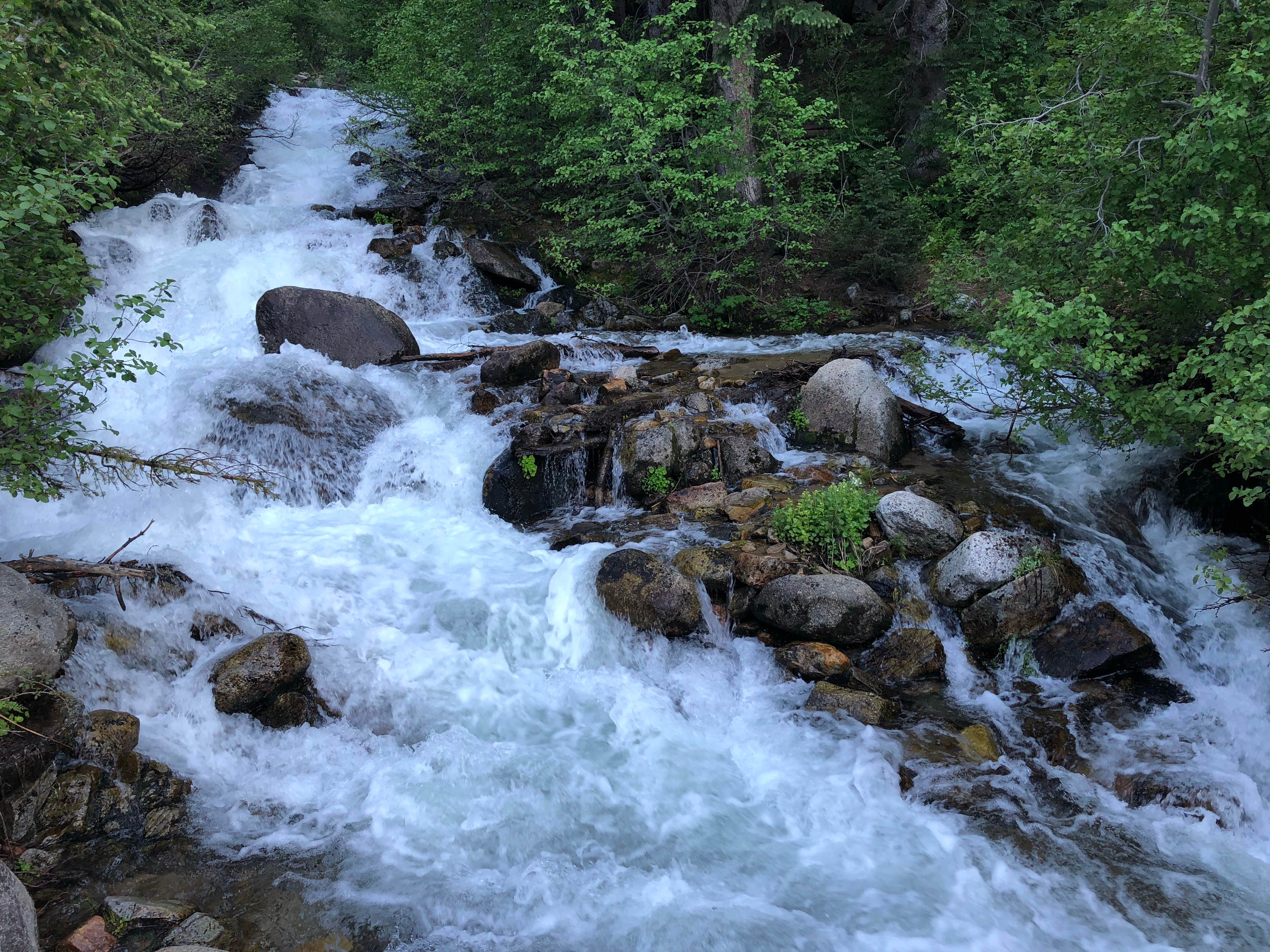 Camper-submitted photo at Lynx Creek near Grover, WY