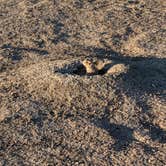 Review photo of Sage Creek Campground by Jasmine P., October 3, 2021