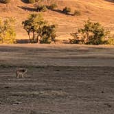 Review photo of Sage Creek Campground by Jasmine P., October 3, 2021