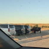 Review photo of Sage Creek Campground by Jasmine P., October 3, 2021