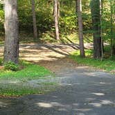 Review photo of Hills Creek State Park Campground by Kevin R., October 3, 2021