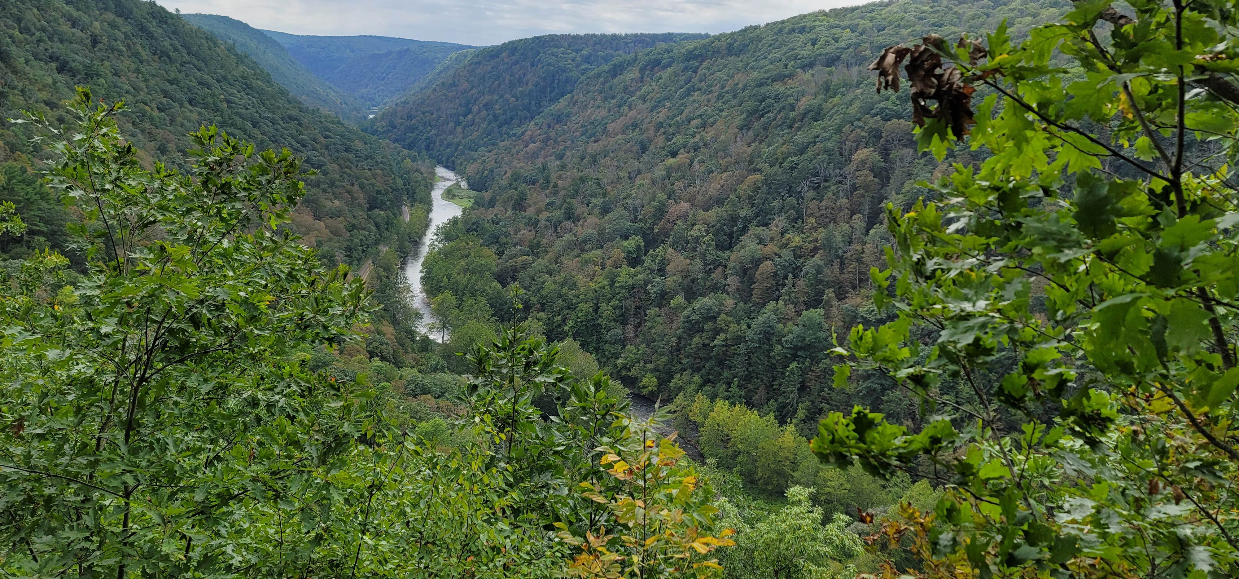 Kevin R.'s photo of camping with pets at Hills Creek State Park Campground near Cowanesque Lake