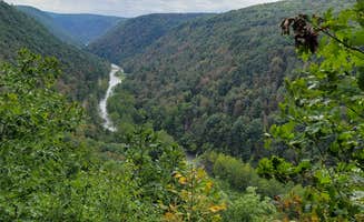 Kevin R.'s photo of camping with pets at Hills Creek State Park Campground near Towanda, PA