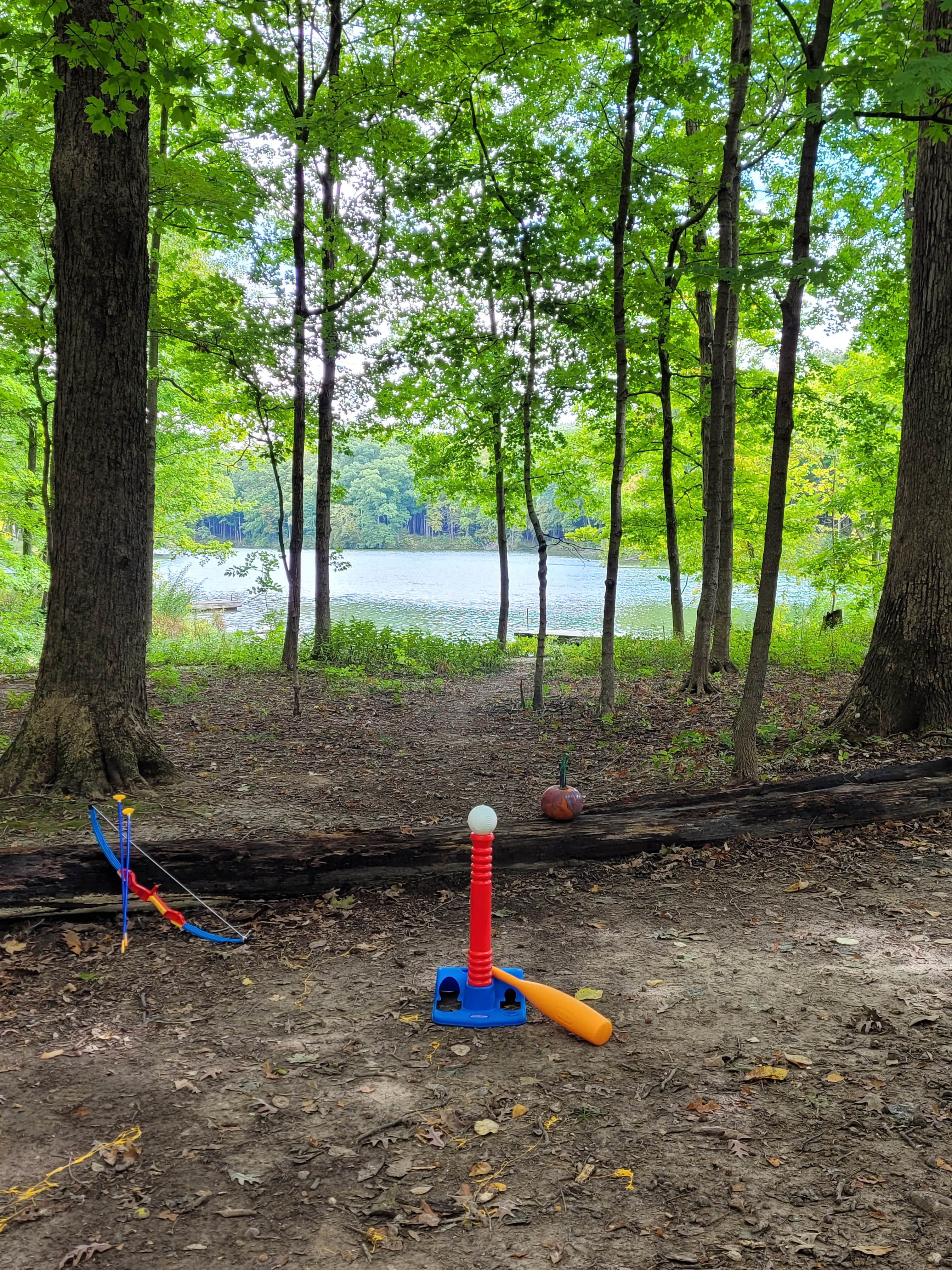 Camper-submitted photo at Walnut Point State Park Campground near Charleston, IL