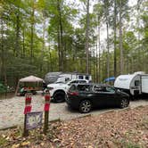 Review photo of Vogel State Park Campground by Logan S., October 3, 2021