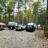 Review photo of Vogel State Park Campground by Logan S., October 3, 2021