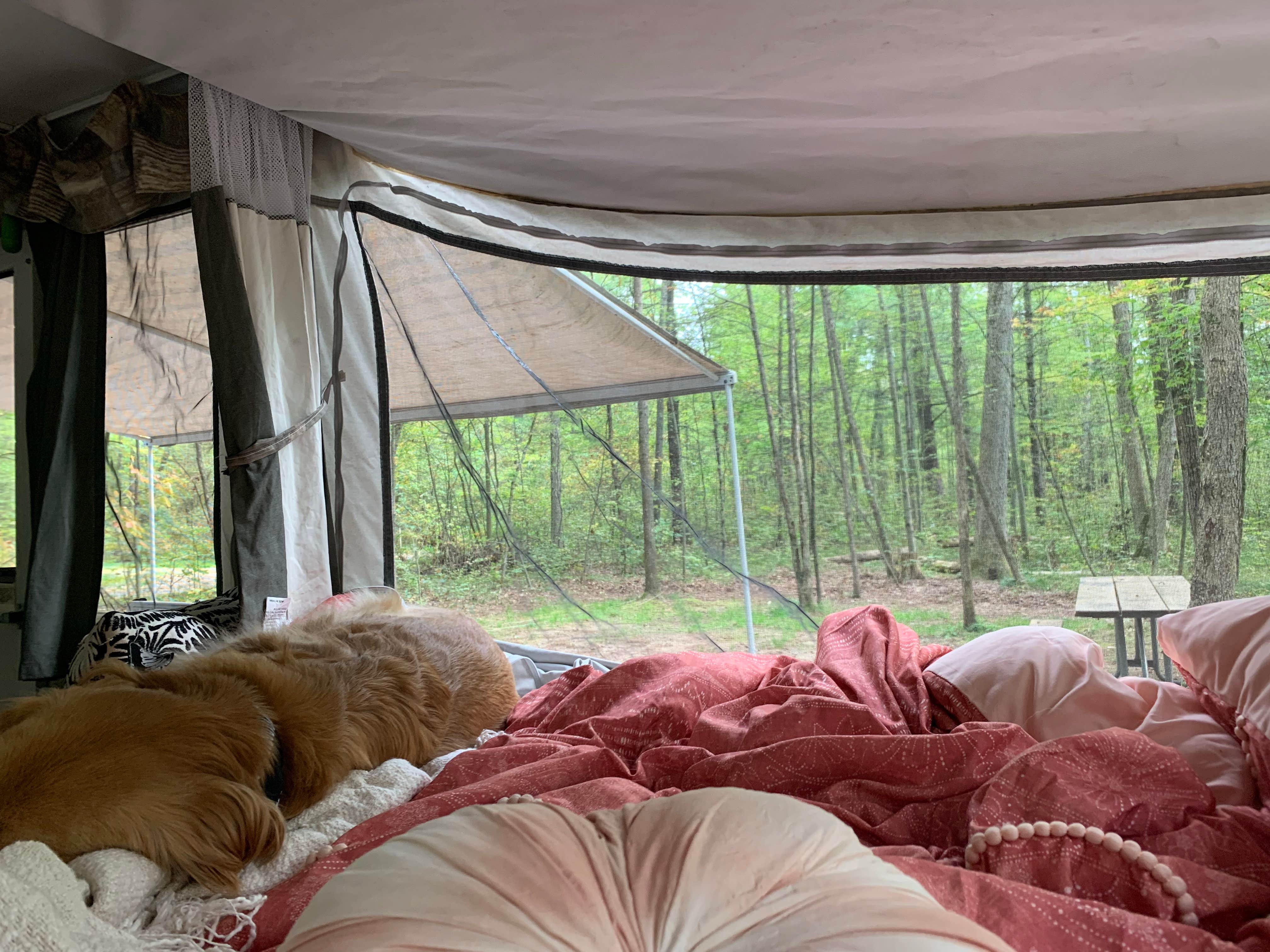 Zac S.'s photo of camping with pets at Newaygo State Park Campground near Belmont, MI