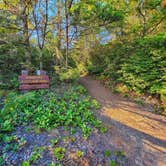 Review photo of Thousand Trails Pacific City by Derek & Alex W., October 3, 2021