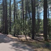 Review photo of Ponderosa Campground (AZ) Tonto National Forest by B O., October 3, 2021